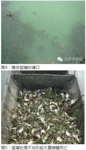 中國養殖基地 yzjidi.com