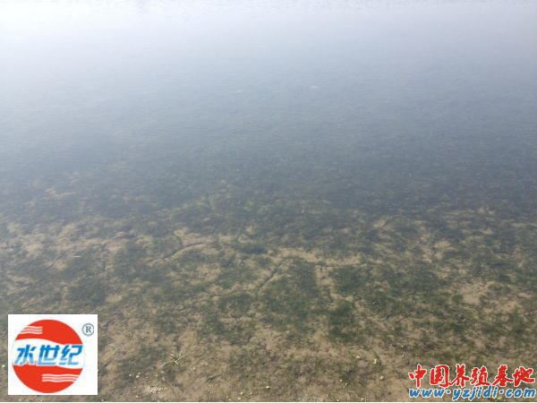 中國養殖基地 yzjidi.com