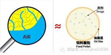 中國養殖基地 yzjidi.com