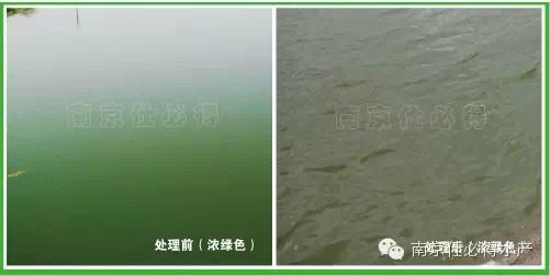 中國養殖基地 yzjidi.com