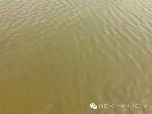 中國養殖基地 yzjidi.com