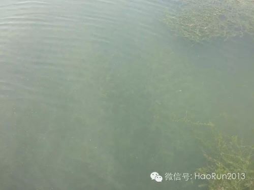中國養殖基地 yzjidi.com