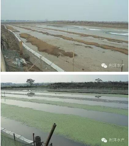 中國養殖基地 yzjidi.com