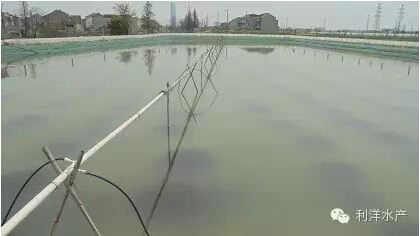 中國養殖基地 yzjidi.com