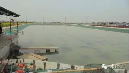 中國養殖基地 yzjidi.com