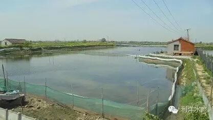 中國養殖基地 yzjidi.com