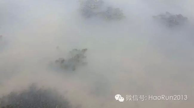中國養殖基地 yzjidi.com