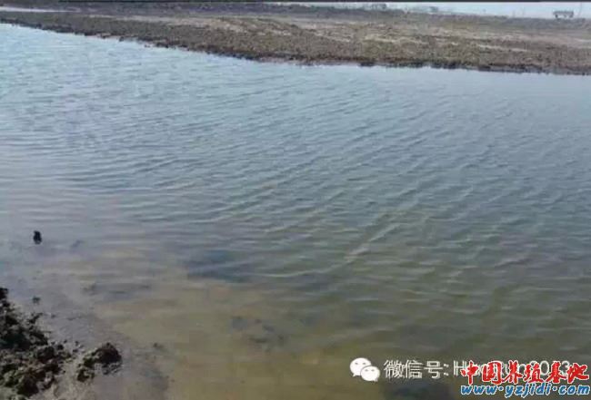 中國養殖基地 yzjidi.com