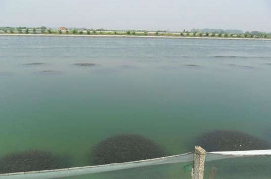 中國養殖基地 yzjidi.com