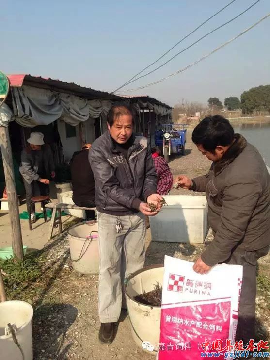 中國養殖基地 yzjidi.com