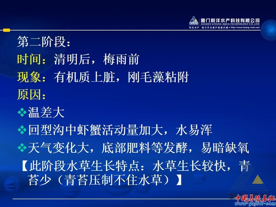 幻燈片5.JPG