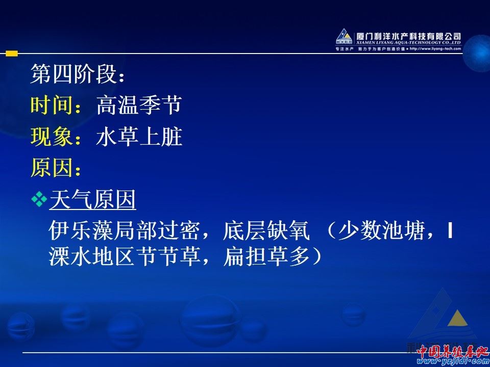 幻燈片10.JPG