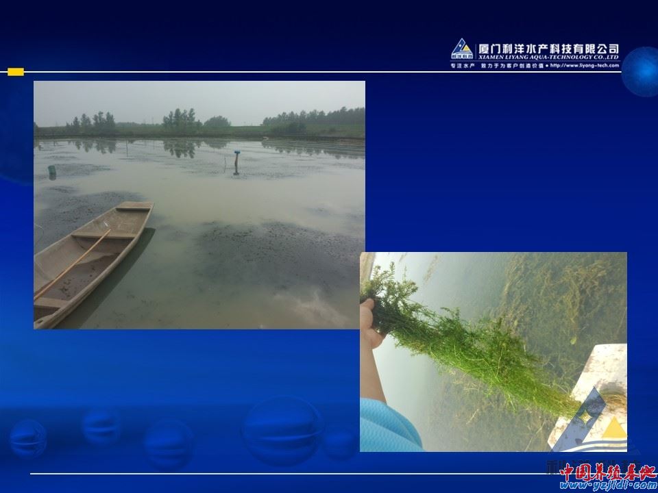 幻燈片11.JPG