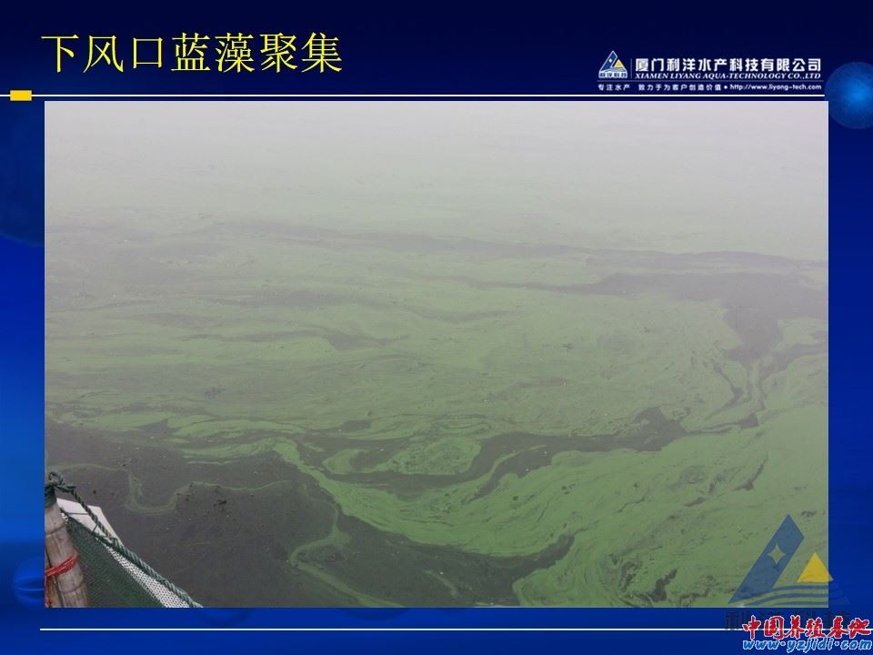 幻燈片5.JPG