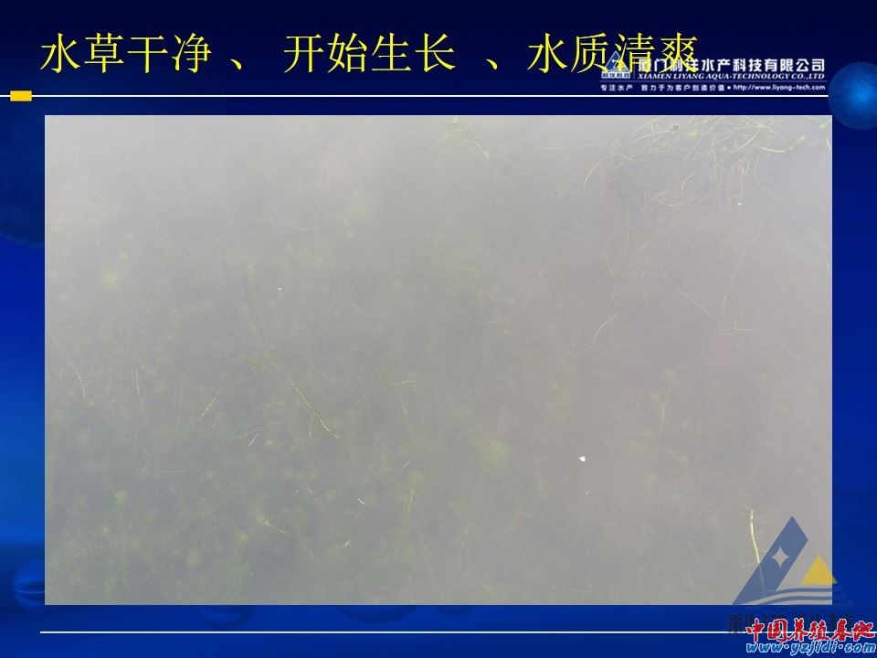 幻燈片7.JPG