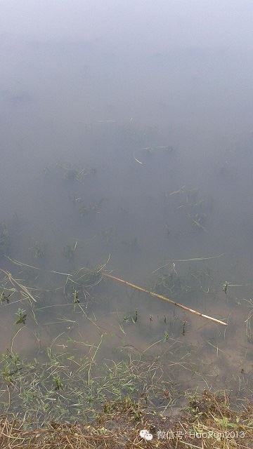 中國養殖基地 yzjidi.com