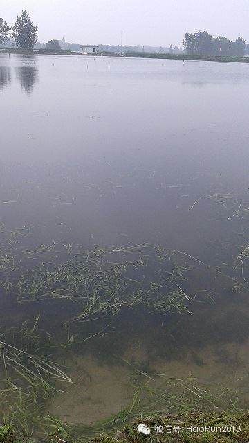 中國養殖基地 yzjidi.com