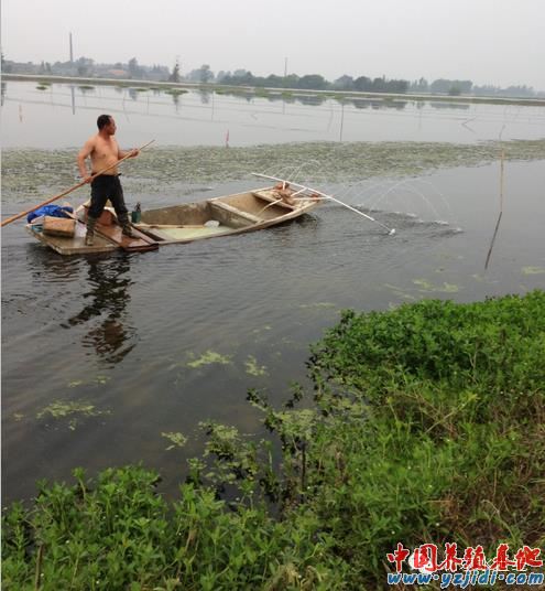 中國養殖基地 yzjidi.com