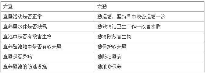 中國養殖基地 yzjidi.com