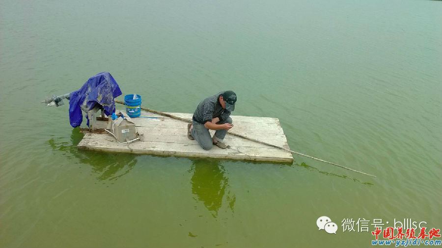 中國養殖基地 yzjidi.com