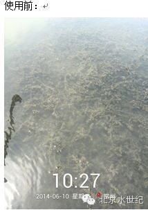 中國養殖基地 yzjidi.com