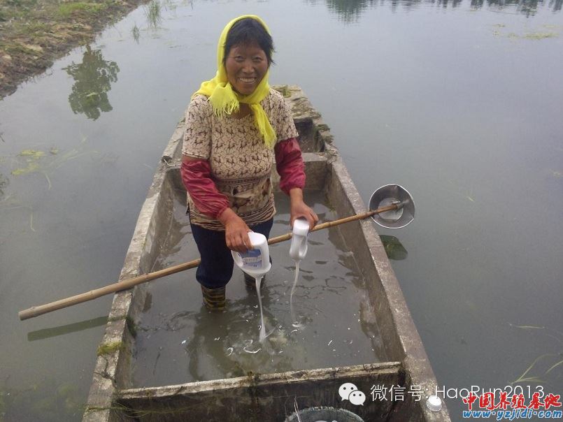中國養殖基地 yzjidi.com